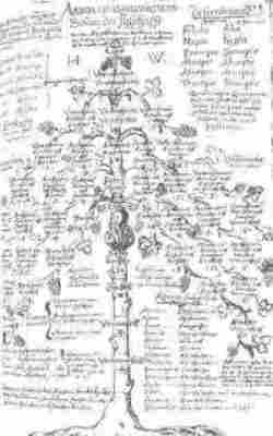 Titelbild des liber decrepitudinis